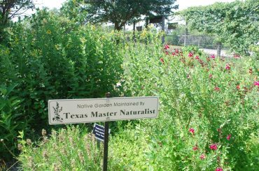 Top Kerrville TX cabin rentals